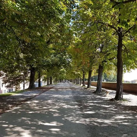 Cozybricks In - In Historical Center - Air Cond & Wifi - Lucca